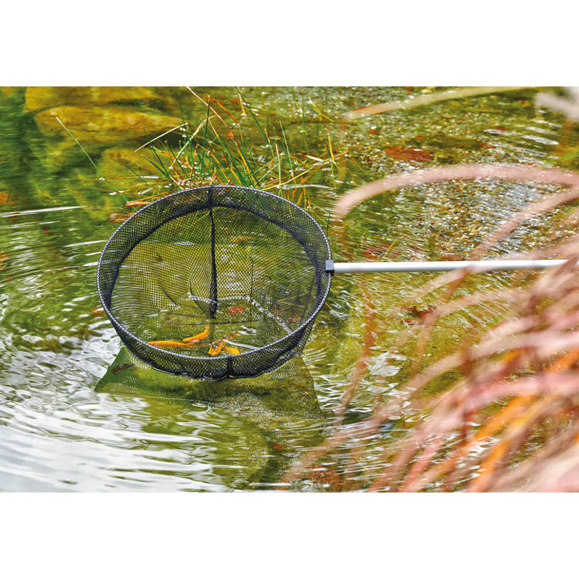 Oase Teleskop-Fischkescher rund 113-180 cm