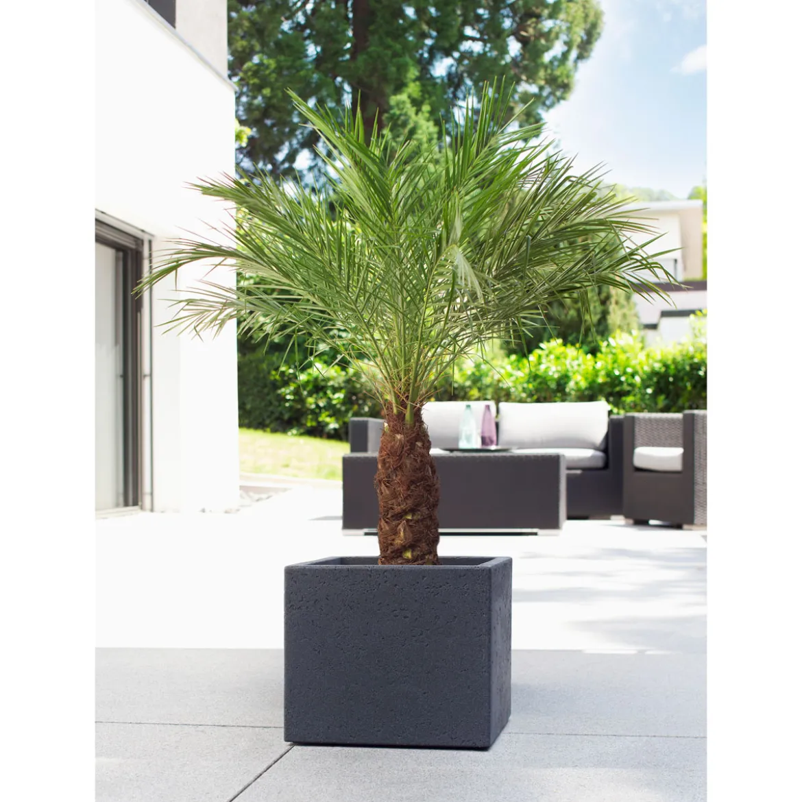 Outdoor-Pflanzgefaess Ccube Stony black240/30