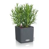 Pflanzkübel Cube Color Komplettset 14 cm schiefergrau