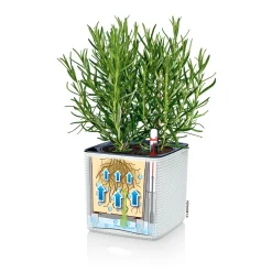 Pflanztopf Cube Color Komplettset 14 cm weiß