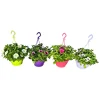 PlantiflorAmpelpflanze Petunie Topf- Durchmesser 21 cm