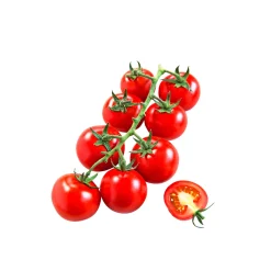 PlantiflorCocktailtomate plastikfrei Topf Durchmesser 12 cm