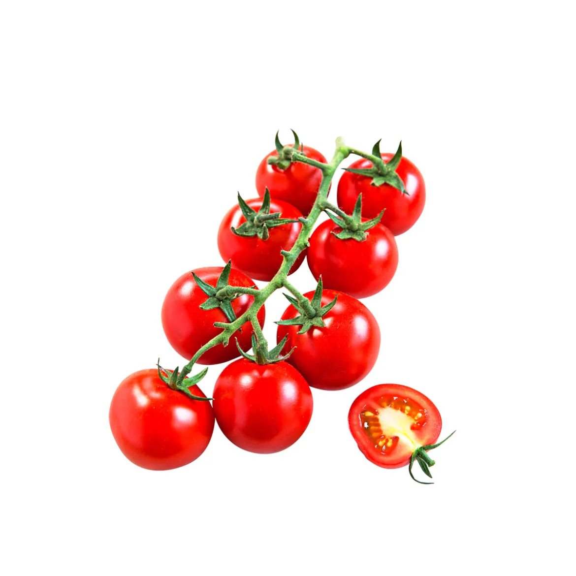 PlantiflorCocktailtomate plastikfrei Topf Durchmesser 12 cm