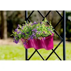 PlantiflorGlockenblume blau Topf 11 cm