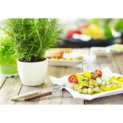 PlantiflorGourmetkräuter Rosmarin Topf Durchmesser 12 cm