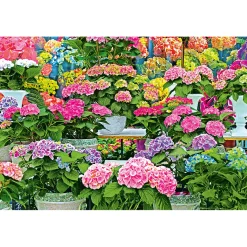 PlantiflorHortensie Magical Four Seasons Topf Durchmesser 23 cm