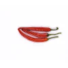 PlantiflorMeisterklasse Peperonie Vulkan Topf Durchmesser 11 cm