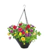 PlantiflorZauberglöckchen Ampel mehrfarbig Topf Durchmesser 25 cm