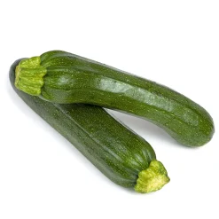 PlantiflorZucchini Pflanze Topf Durchmesser 12 cm