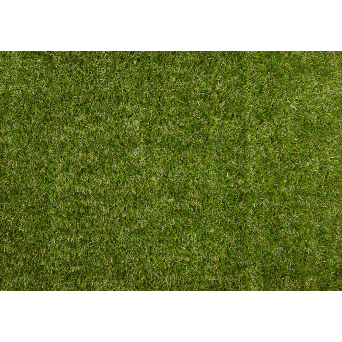 Rasen Deluxe Kunstrasen Oxford 100x200 cm grün