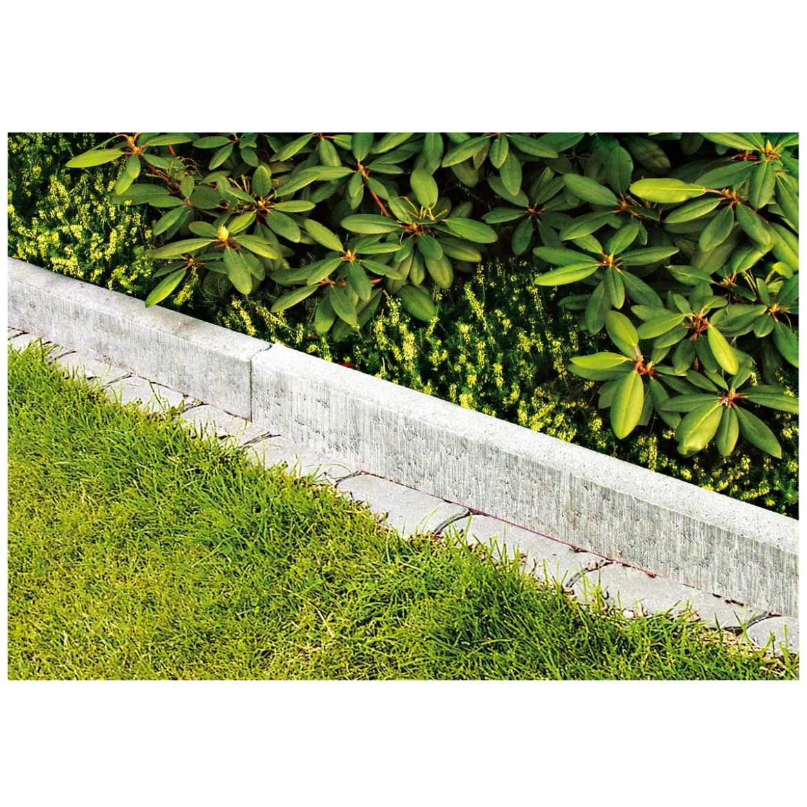 Rasenkante mit Nut und Feder5x15x100 cm, grau