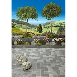 Rechteckpflaster mit Fase, anthrazit10x20x8 cm, 50 Stk./qm