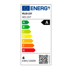 Retro LED Birne EEK A E27E27 60W 806lm 2700K