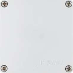 REV Ritter Abzweigkasten IP54/65 grau