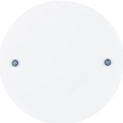 REV Ritter Federsteckdeckel für Abzweigdose weiss 25 x 40 mm