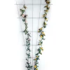 Rosenspalier 150 x 75 cm