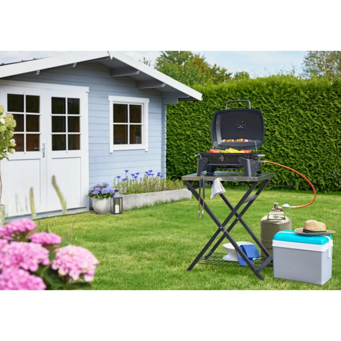 Rothmann Gasgrill Phoenix