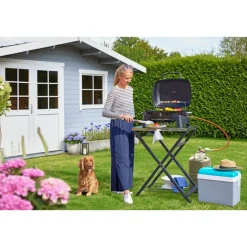 Rothmann Gasgrill Phoenix