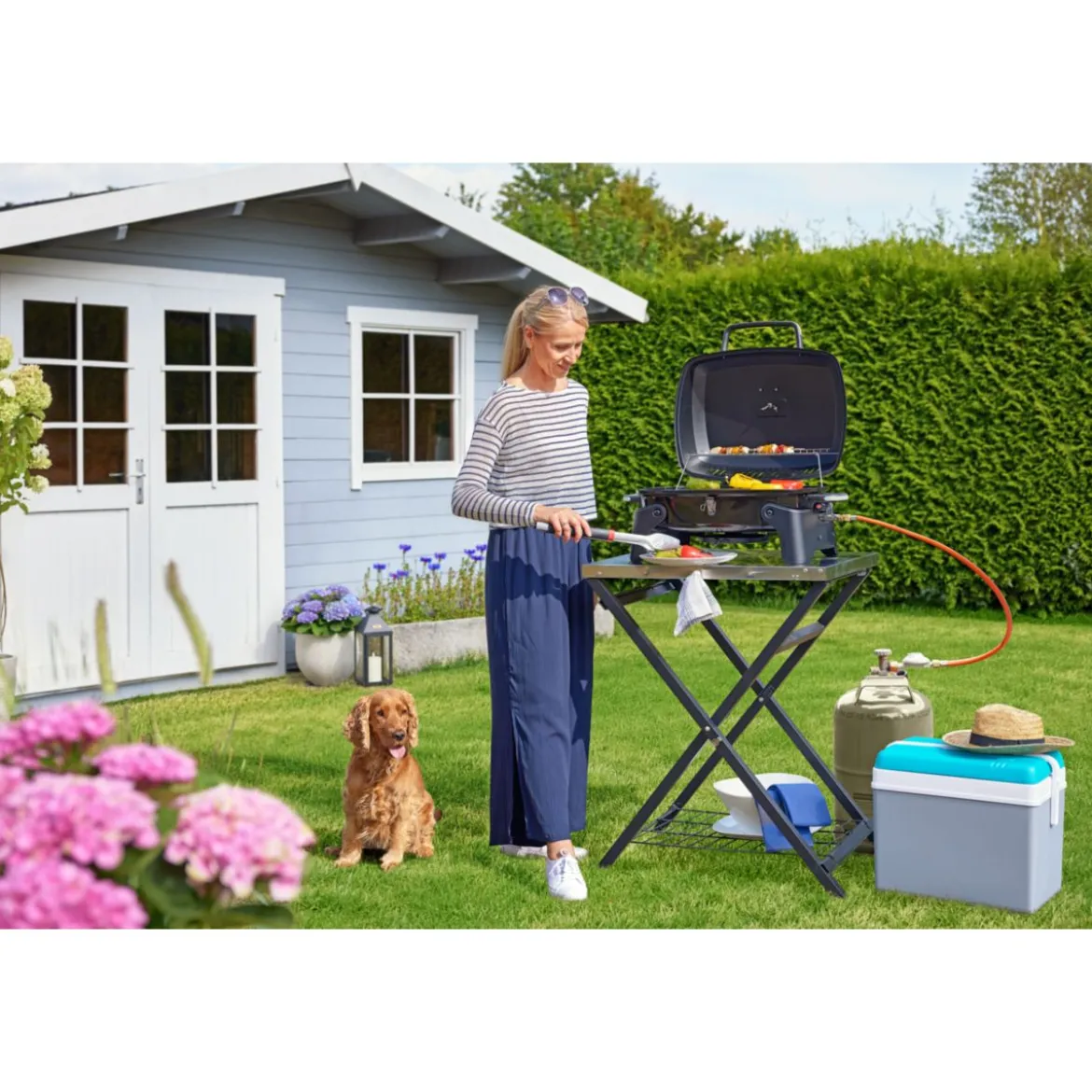 Rothmann Gasgrill Phoenix