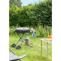 Rothmann Gasgrillwagen Go