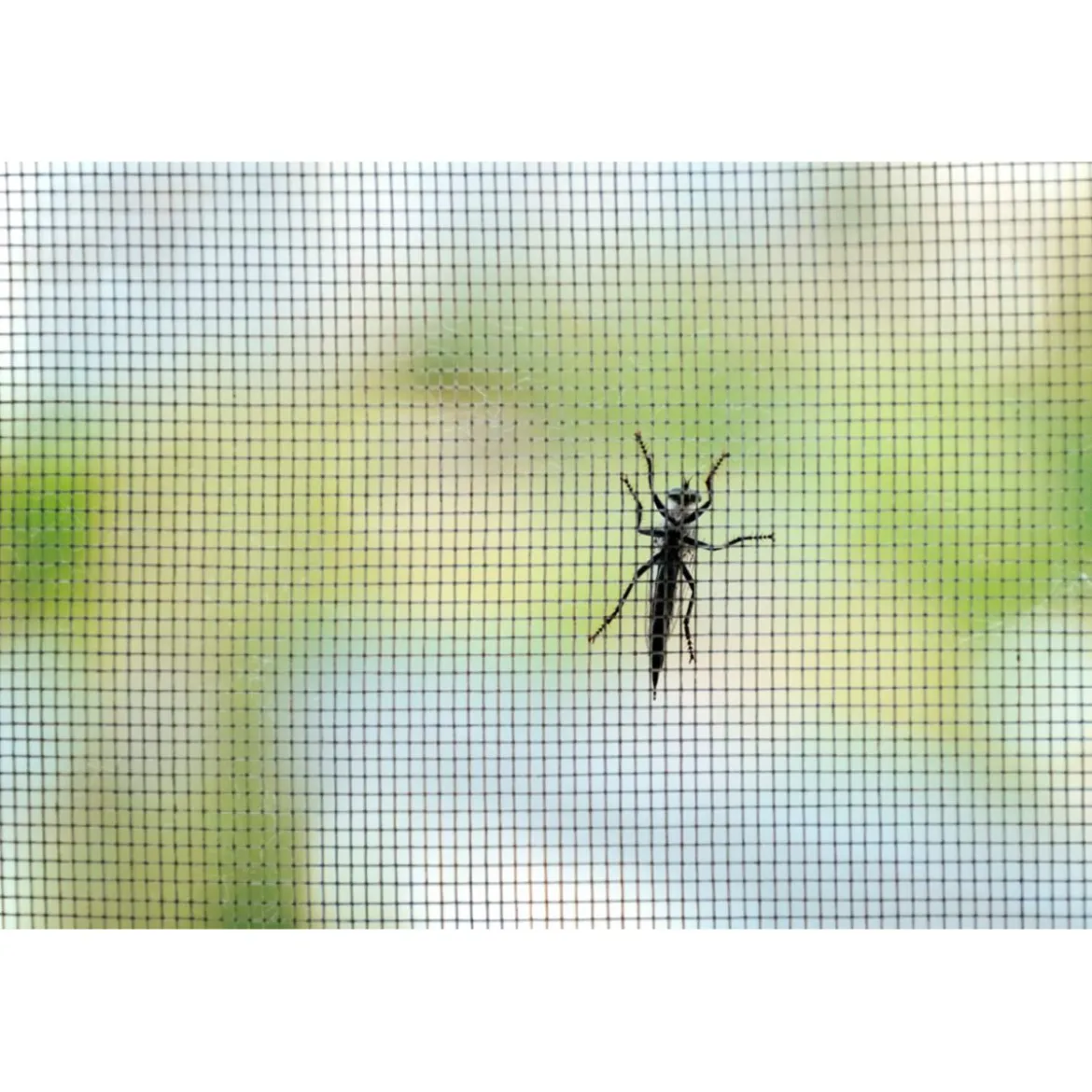 Schellenberg Insektenschutz Pop-Up Fenster 100 x 120 cm anthrazit