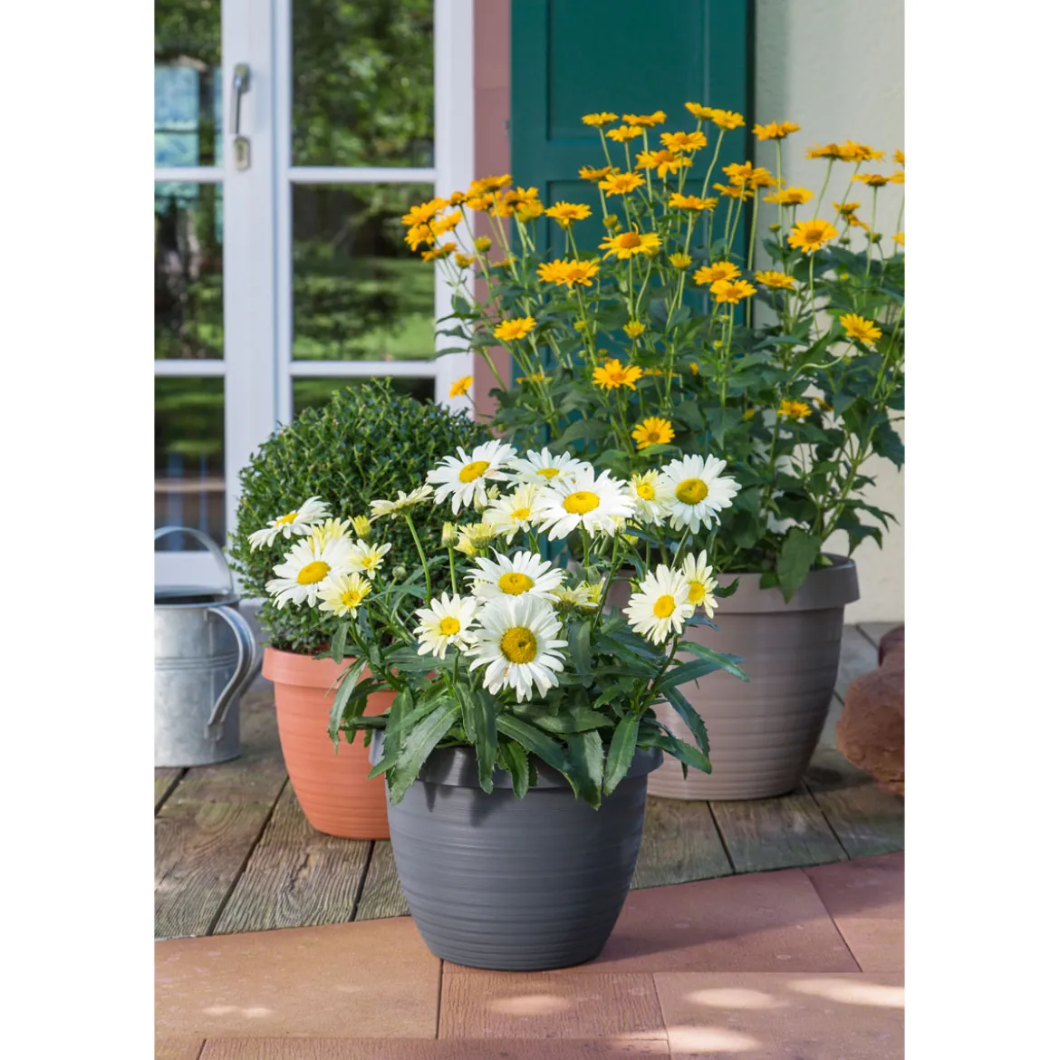 Scheurich Blumentopf Country Star 35 270 35 cm Terrakotta
