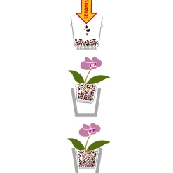 Seramis Spezial-Substrat für Orchideen 7 L