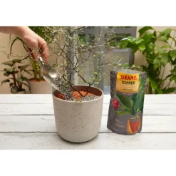 Seramis Topper Graphite 1 L