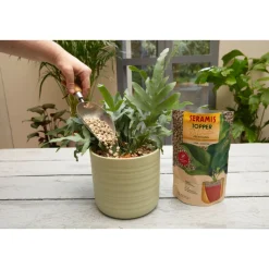 Seramis Topper Limestone 1 L