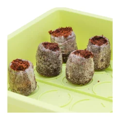 Siena GardenZimmer-Gewächshaus Uni-Grow 38 x 24 x 18 cm