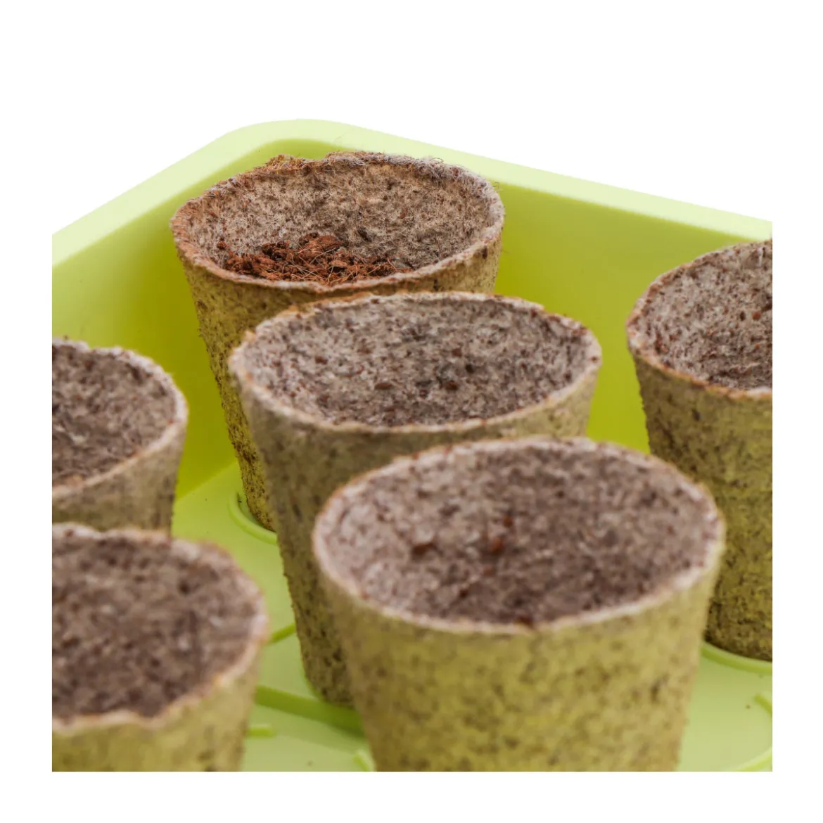 Siena GardenZimmer-Gewächshaus Uni-Grow 38 x 24 x 18 cm