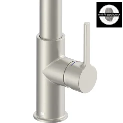 SP-Armatur ALUNA mit Geschirrbrause,schwenkbar, Keramikkar., Edelstahl-Optik