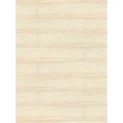 Specht Ambiente Paneel 10mm Birke hell