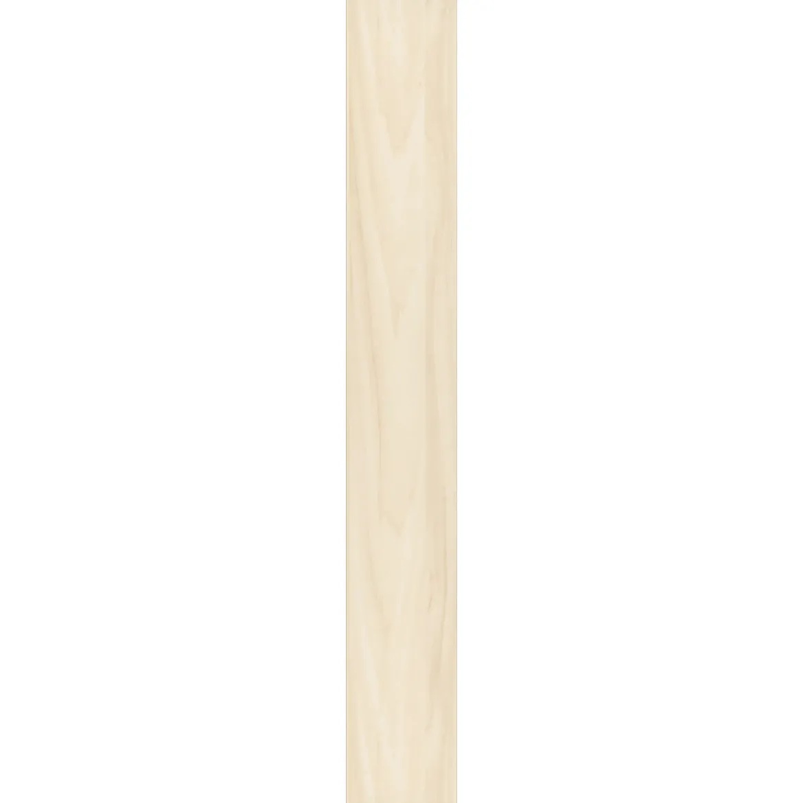 Specht Ambiente Paneel 10mm Birke hell