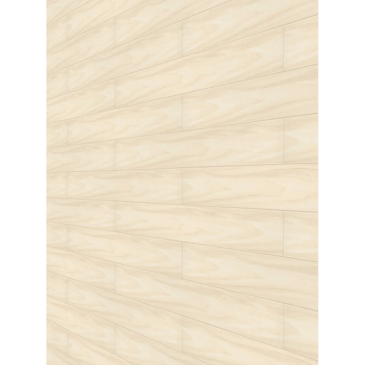 Specht Ambiente Paneel 10mm Birke hell