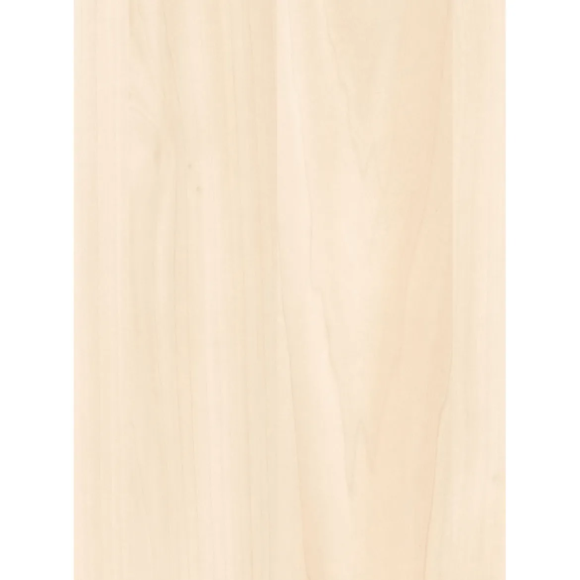 Specht Ambiente Paneel 10mm Birke hell
