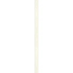 Specht Ambiente Paneel 10mm Pinie weiß