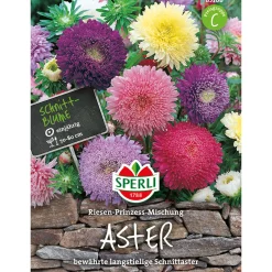 Sperli Astern Riesen-Prinzess Mischung