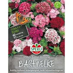 Sperli Bartnelken ngs Vollbart Mischung