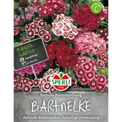 Sperli Bartnelken Prachtmischung