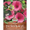 Sperli Bechermalven Ruby Regis