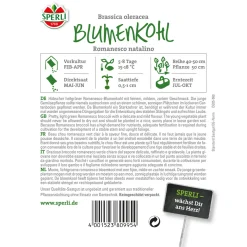 Sperli Blumenkohl Romanesco natalino