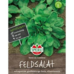 Sperli Feldsalat Verte de Cambrai