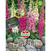 Sperli Fingerhut ngs Mervita Mischung