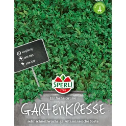 Sperli Gartenkresse Einfache Grüne