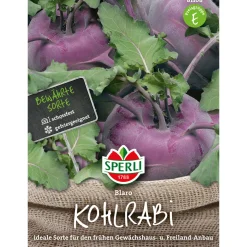 Sperli Kohlrabi Blaro