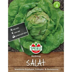 Sperli Kopfsalat Maikönig