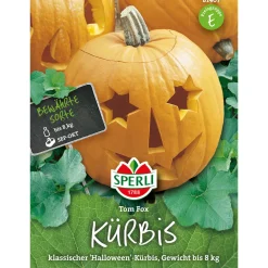 Sperli Kürbis Tom Fox