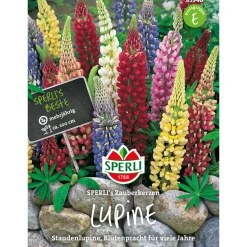 Sperli Lupinen ngs Zauberkerzen