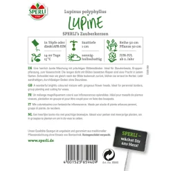 Sperli Lupinen ngs Zauberkerzen